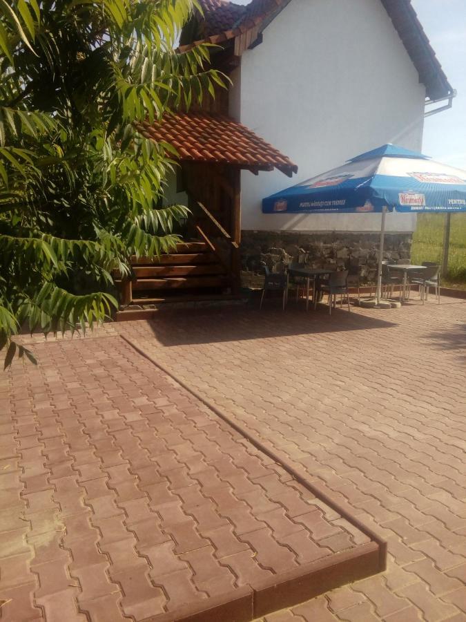 Vila Sura Razoare Sighişoara Exteriör bild