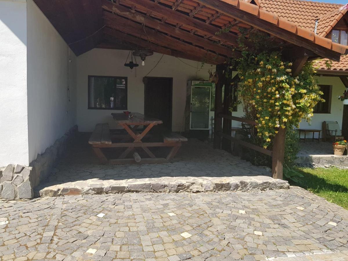 Vila Sura Razoare Sighişoara Exteriör bild