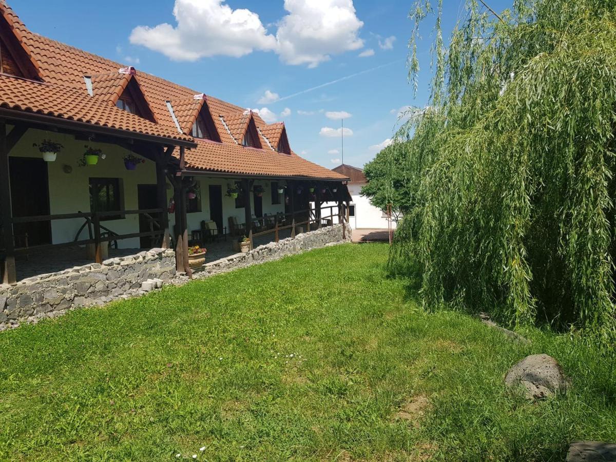 Vila Sura Razoare Sighişoara Exteriör bild