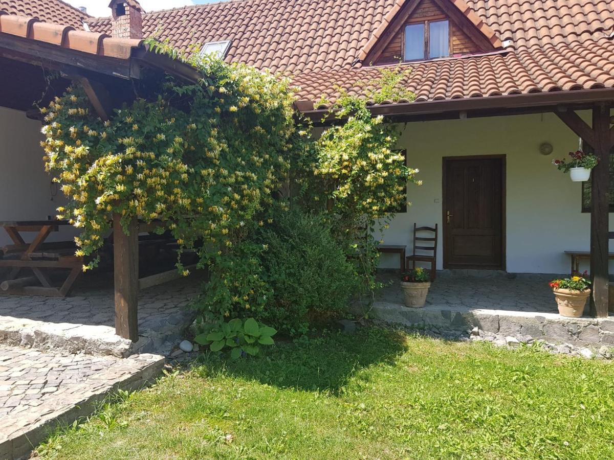 Vila Sura Razoare Sighişoara Exteriör bild