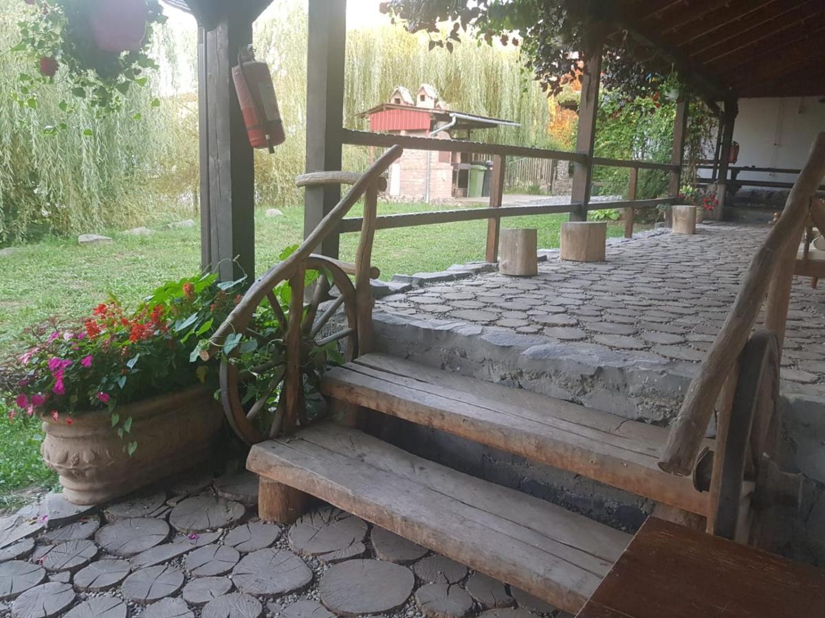 Vila Sura Razoare Sighişoara Exteriör bild