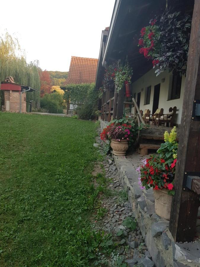 Vila Sura Razoare Sighişoara Exteriör bild