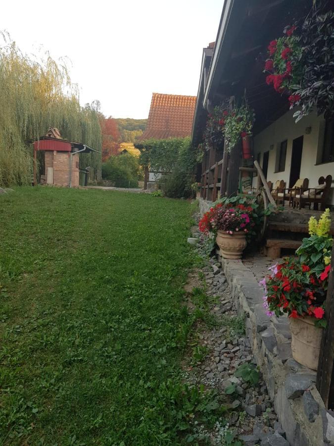Vila Sura Razoare Sighişoara Exteriör bild