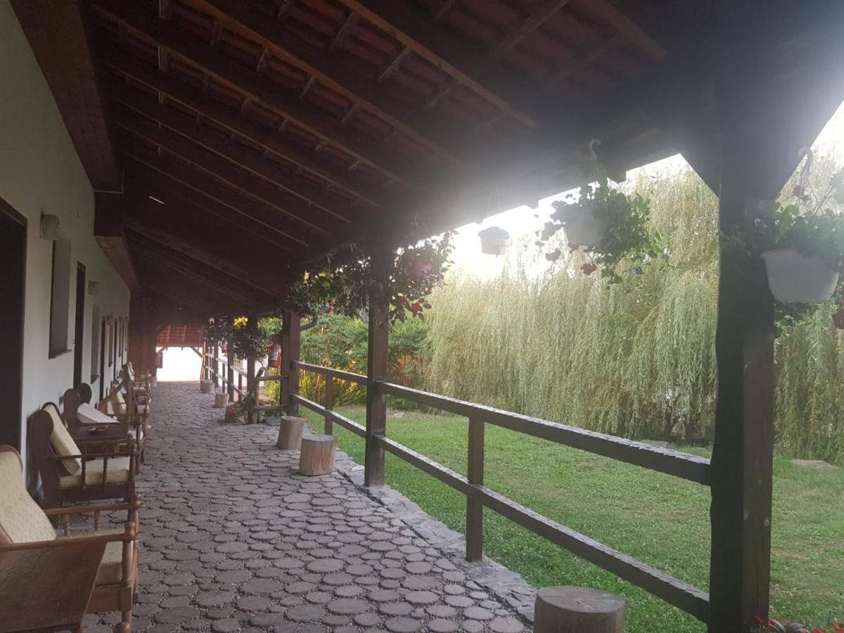 Vila Sura Razoare Sighişoara Exteriör bild