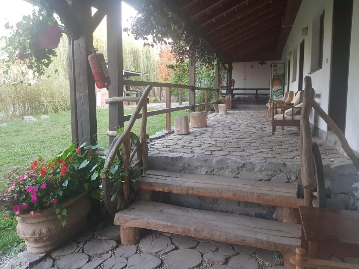 Vila Sura Razoare Sighişoara Exteriör bild
