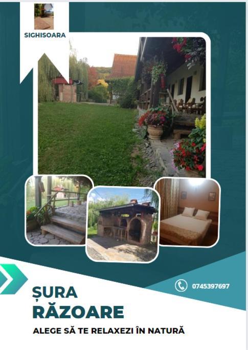 Vila Sura Razoare Sighişoara Exteriör bild