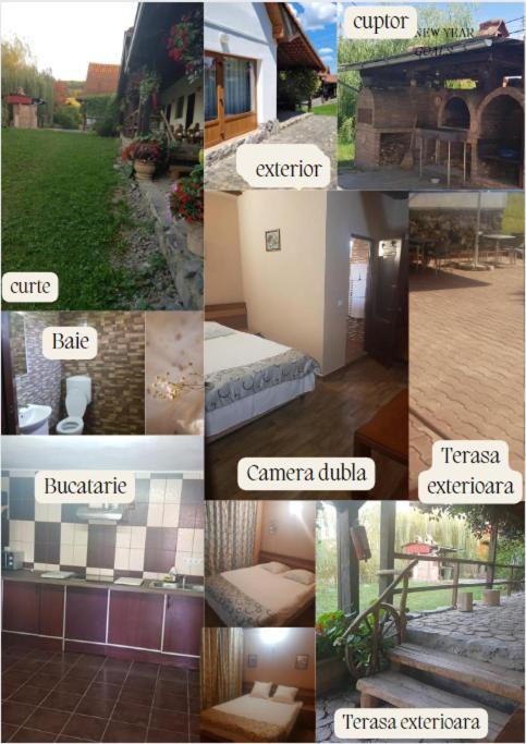 Vila Sura Razoare Sighişoara Exteriör bild