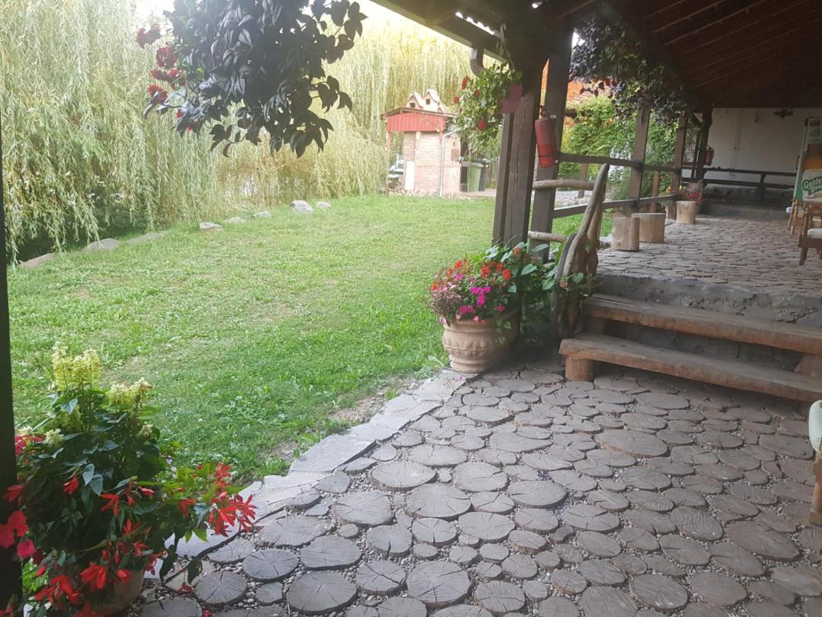 Vila Sura Razoare Sighişoara Exteriör bild